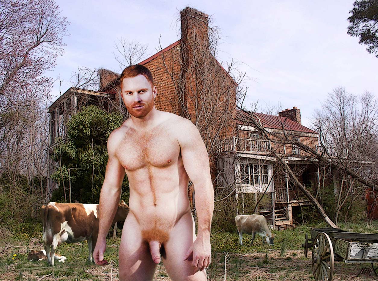 ginger cookie